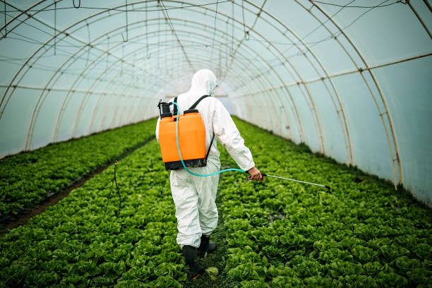 Best Affordable Pest Control Services  in Tolar, TX