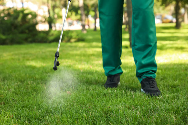 Best Residential Pest Control  in Tolar, TX