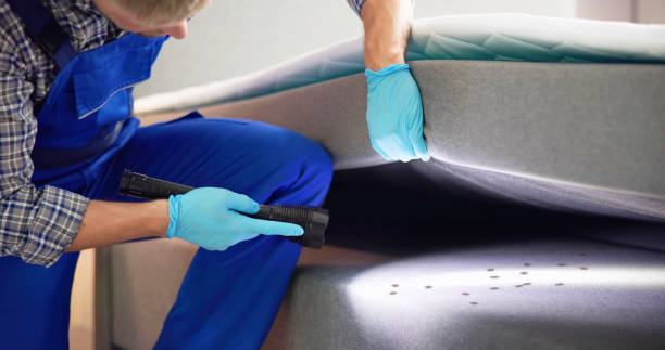 Best Local Pest Control Services  in Tolar, TX