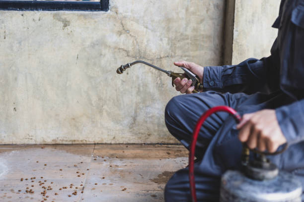 Best Pest Control Near Me  in Tolar, TX