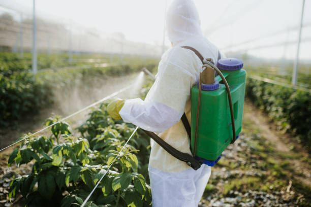 Pest Control Cost in Tolar, TX